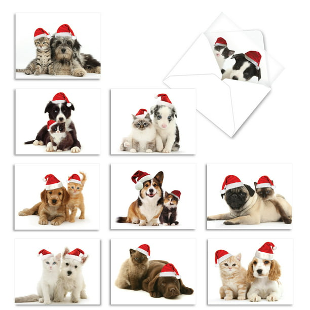 10  Merry Christmas Cards Assortment YULETIDE ZOO YOGA M6547XSB